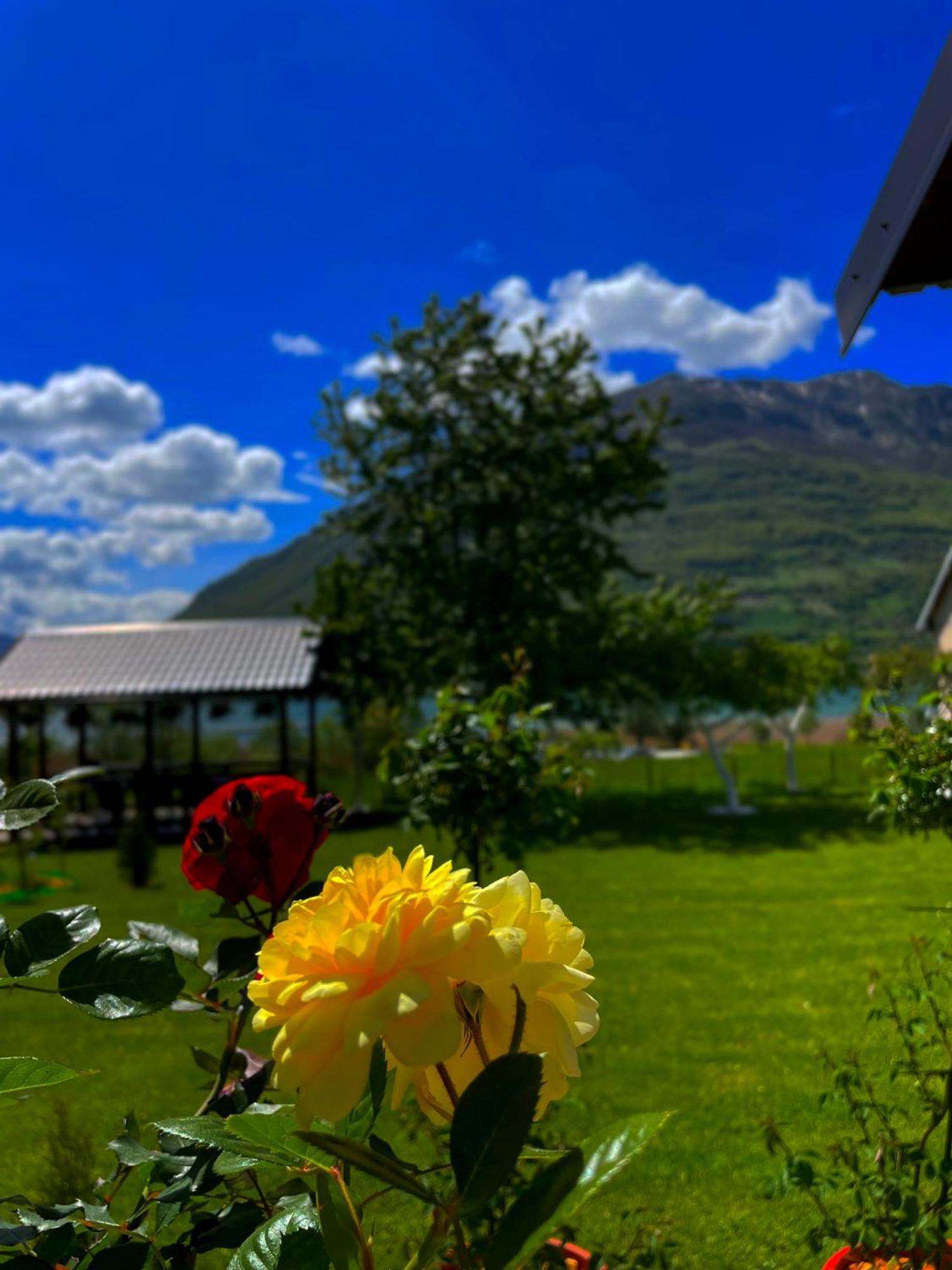 Rooms P&L Plav Dış mekan fotoğraf